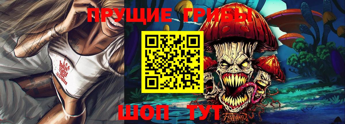 Псилоцибиновые грибы Psilocybe Артёмовский